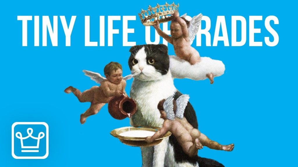 15 Tiny Life Upgrades That Cost $0. improve life