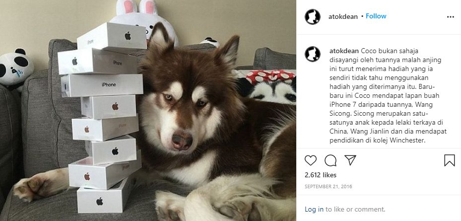 Screenshot 2021-03-14 224313