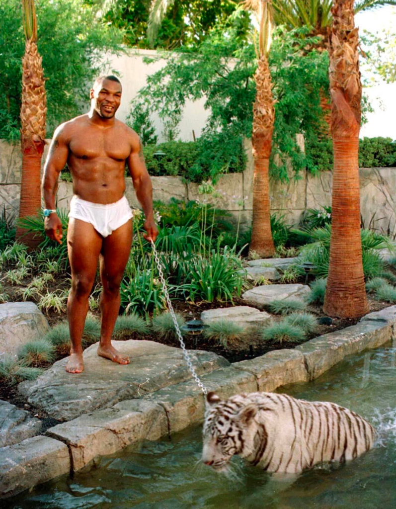 Rich people flex their exotic animals